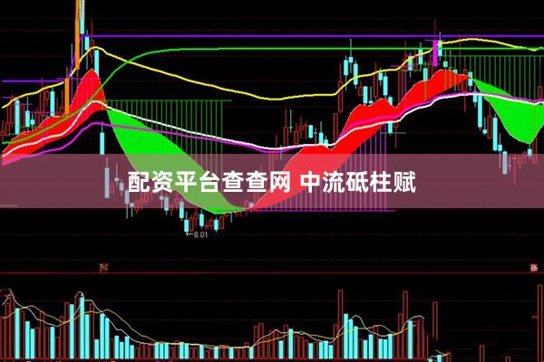 配资平台查查网 中流砥柱赋