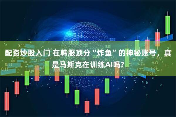 配资炒股入门 在韩服顶分“炸鱼”的神秘账号，真是马斯克在训练AI吗?